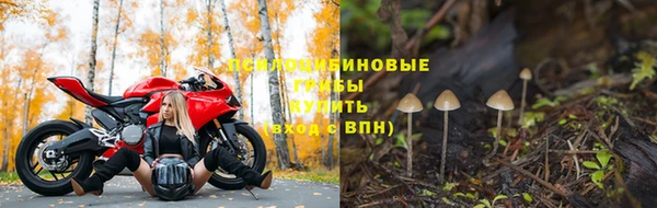 кокс Алзамай