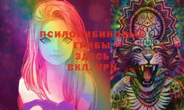 кокс Алзамай