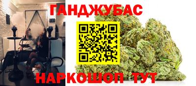 гидра Краснознаменск