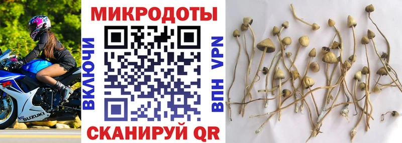 Псилоцибиновые грибы Cubensis  купить закладку  Казань 