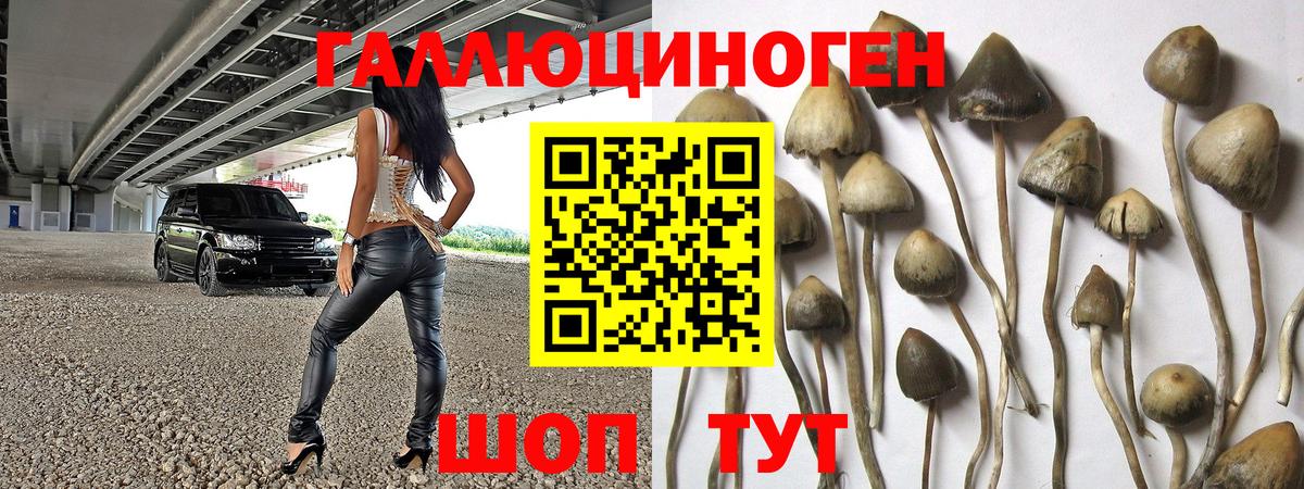 Казань  Галлюциногенные грибы MAGIC MUSHROOMS  Вход с VPN  Галлюциногенные грибы мицелий 