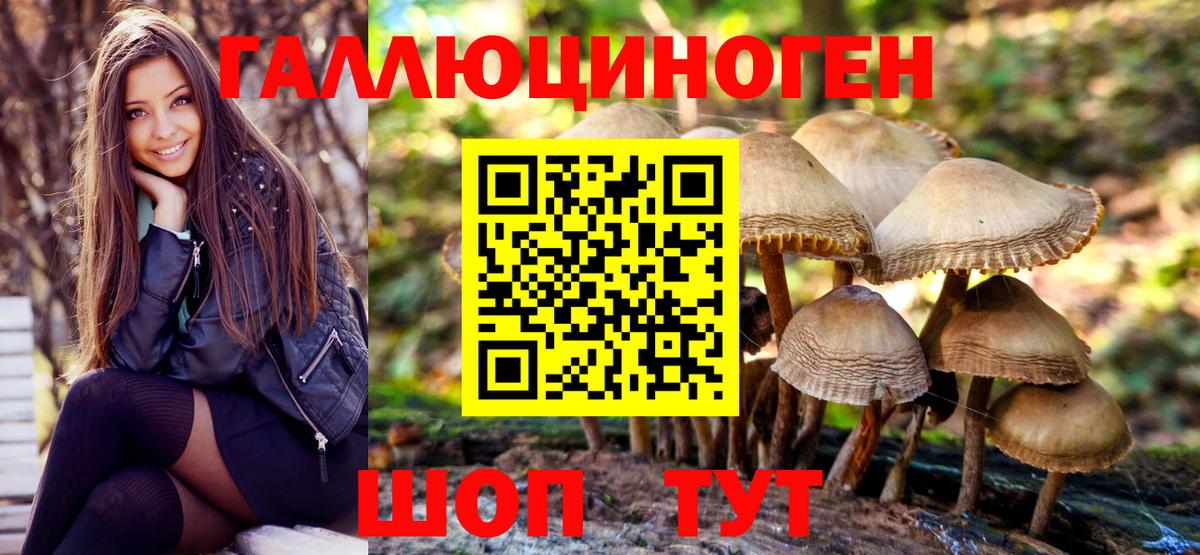 Псилоцибиновые грибы ЛСД Казань